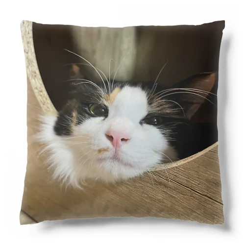 三毛猫の朝クッション Cushion