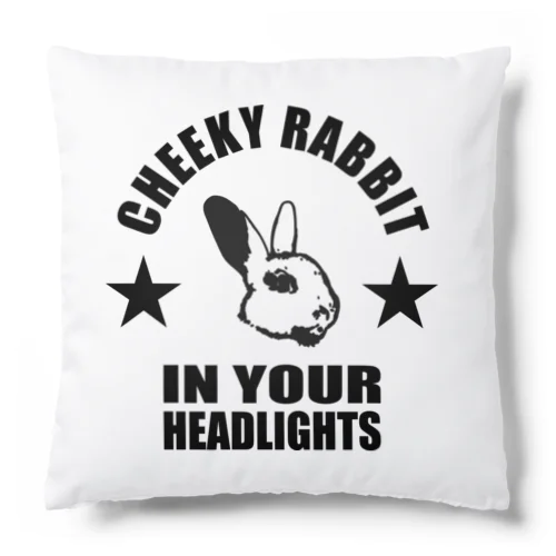 CR015_CheekyRabbit_headlights クッション