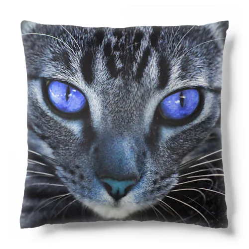 青い猫 Cushion