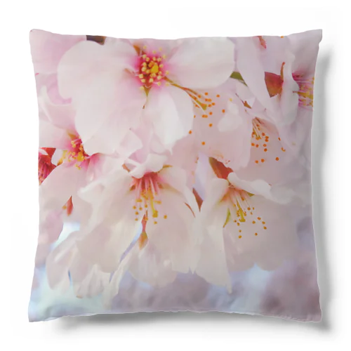 桜満開 Cushion