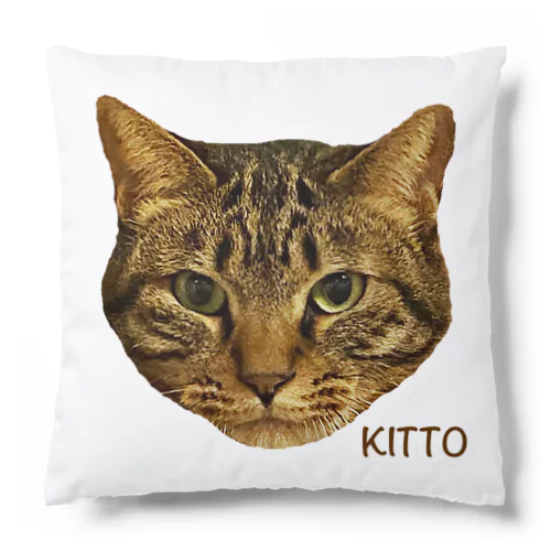 キトくんのお顔 Cushion