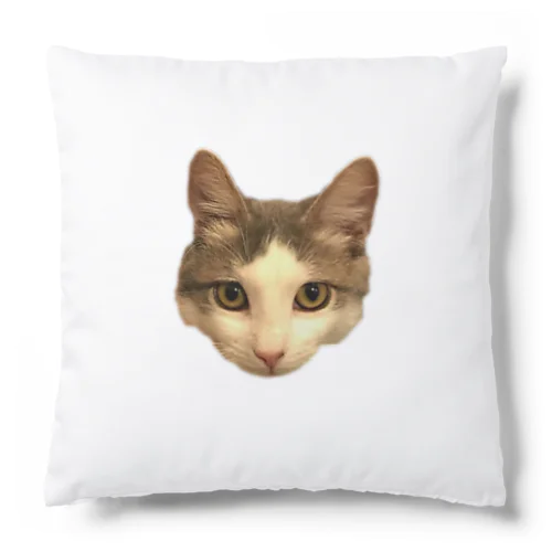 Nyanko Cushion