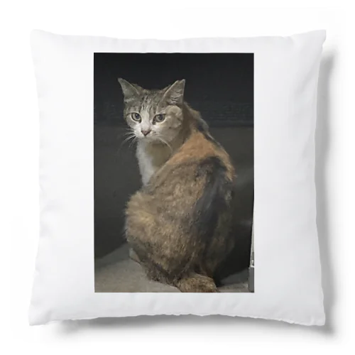 ミケちゃん Cushion