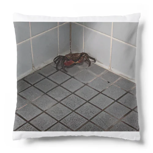 Crab Cushion