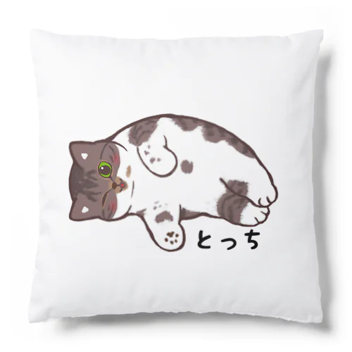 とっちのグラビア Cushion