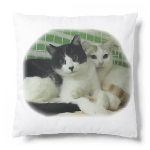 みいたくんとみいとくん Cushion