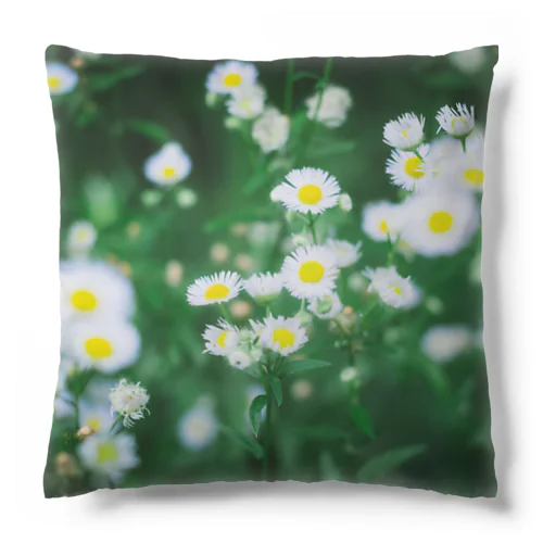 優しい色の花 Cushion