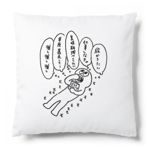 今日も一日 Cushion