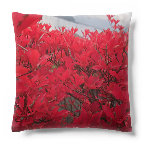 河口湖 Cushion