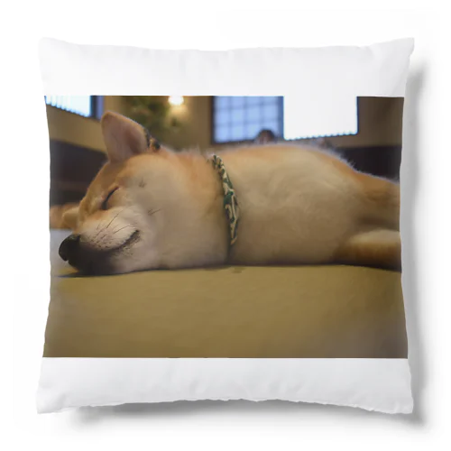 柴犬 Cushion