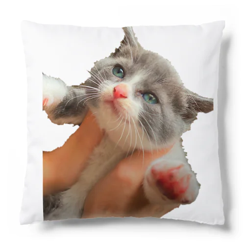 ふぅしゃん Cushion