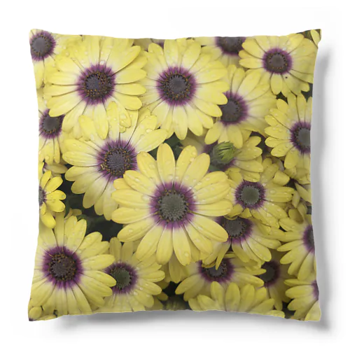 Yellow Flowers 1 Cushion