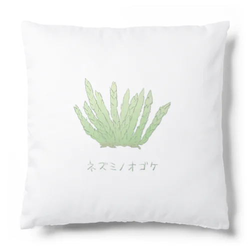 ネズミノオゴケ【苔グッズ】 Cushion