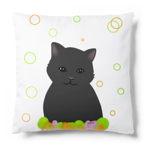 癒し猫 黒猫 Cushion