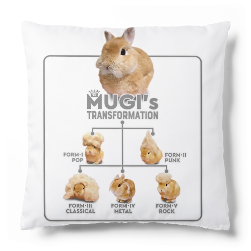 むぎちゃんトランスフォーメーション-うさぎのうみのうさ友シリーズ Cushion