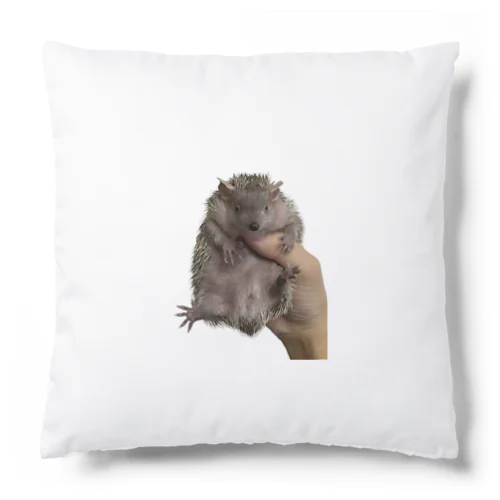 ヒメハリテンレックのココちゃん Cushion