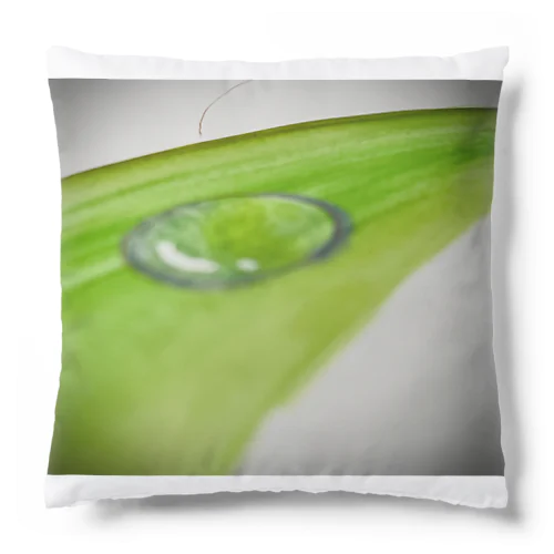 waterdrop Cushion