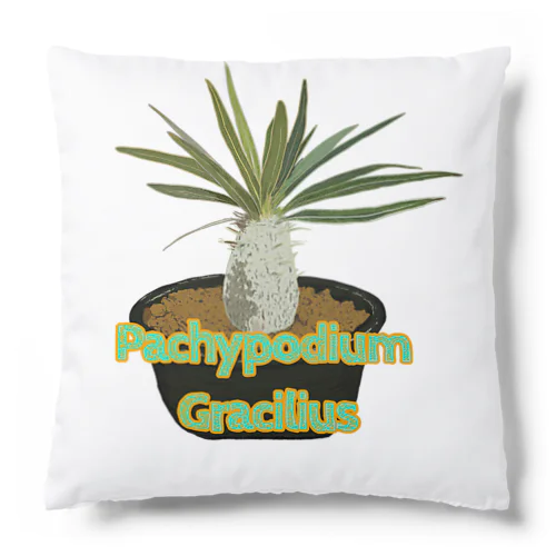 Pachypodium Gracilius クッション