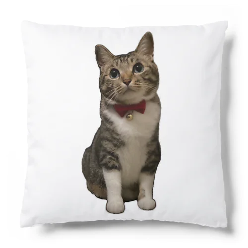 さいちゃんのクッション Cushion