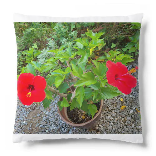 ハイビスカス花🌺ペア Cushion