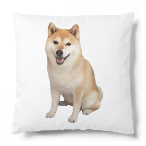 柴犬チビちゃん Cushion