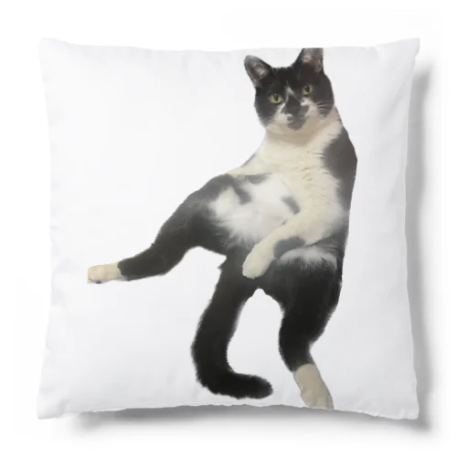 ひょうきん猫カンタくん Cushion