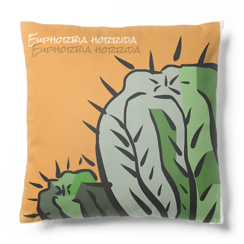 Euphorbia horrida Cushion