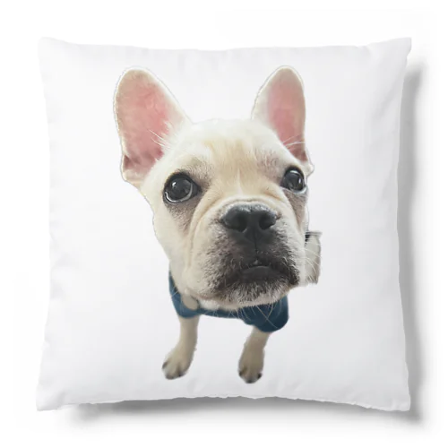 うちの犬のせんずくん Cushion