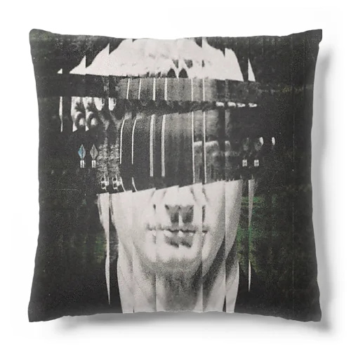 017 Cushion