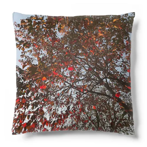 201910181619002　桜の紅葉 Cushion