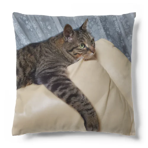 猫と花 Cushion