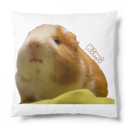 モルモットのきみちゃん　ぽけー Cushion