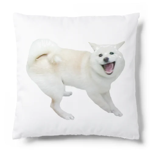 世界で1番楽しんでる愛犬まる Cushion