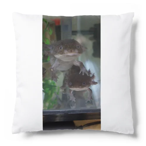 ウーパールーパー　仲良しコンビ Cushion