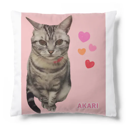 アメショのアカリちゃん(REALver) Cushion