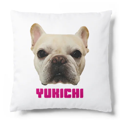 お友達の諭吉さま Cushion