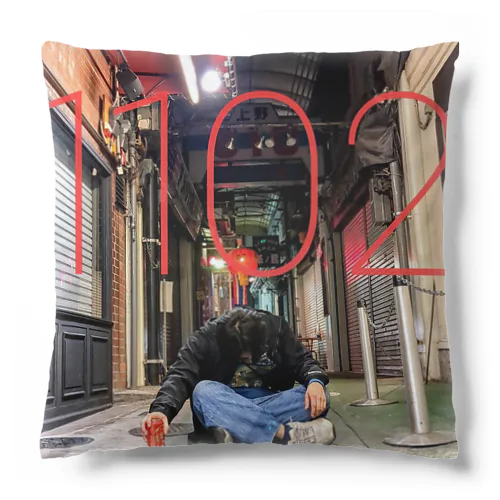 20221102 Cushion