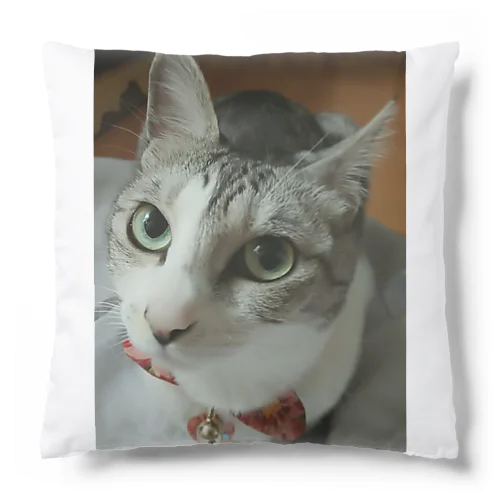 NUN_SAKAMOTO Cushion