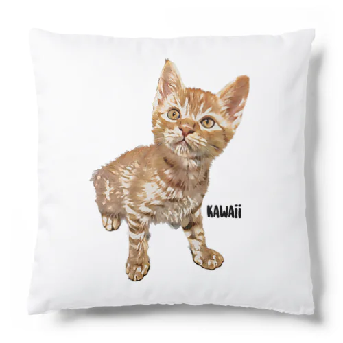 kawaii-cat 【ぶり】 Cushion