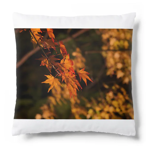 ライトアップ紅葉 - Japanese maple(night shot) - Cushion