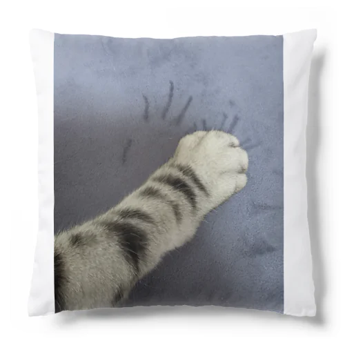 猫の手 Cushion