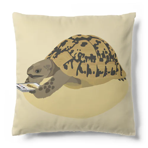 キレナイカギリシャリクガメ Cushion