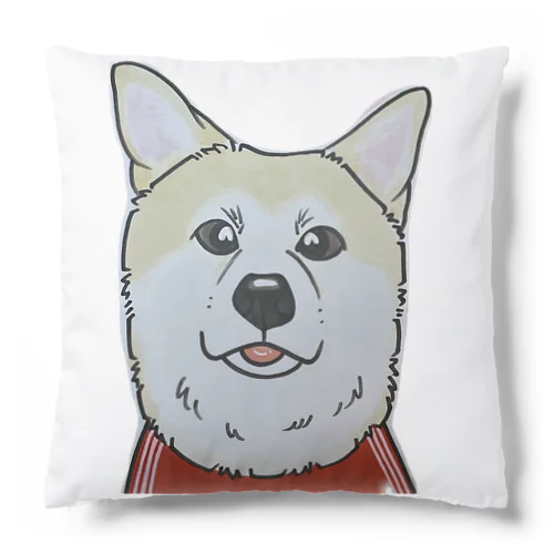 bk48bk Cushion