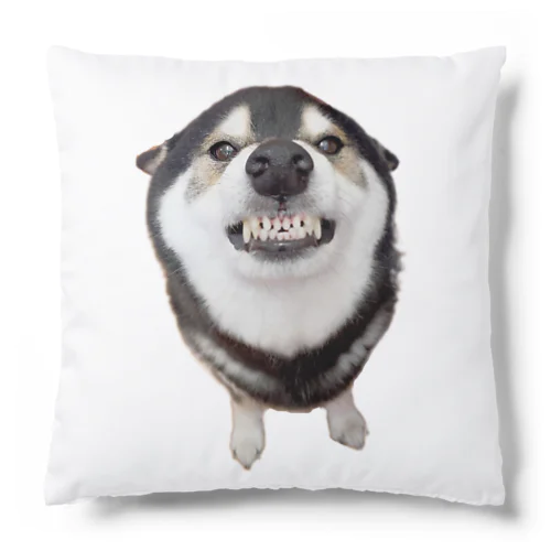 柴犬大河のガルガル・クッション Cushion