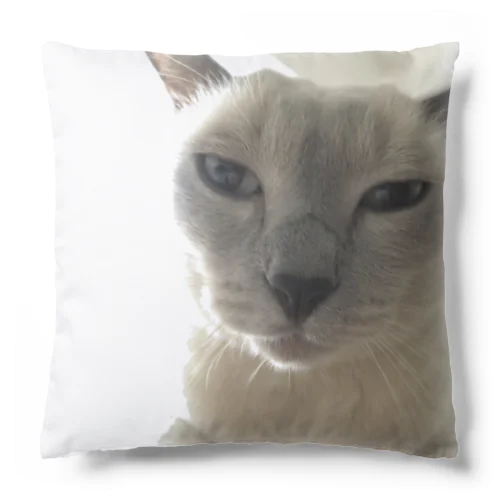 後光ねこ Cushion