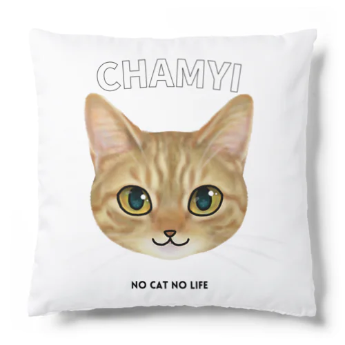 chamyi Cushion