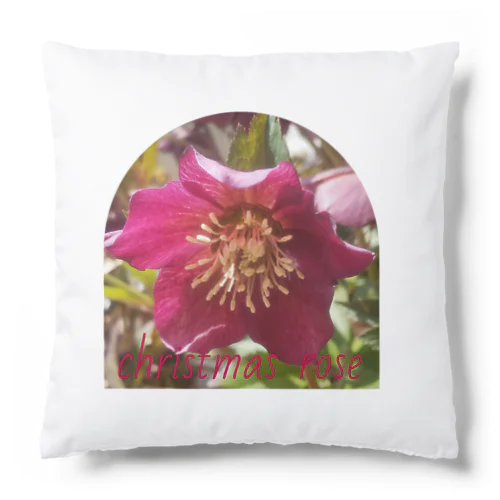 christmas rose Cushion