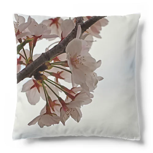 イラスト風SAKURA Cushion