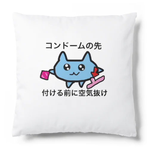 正しい性行為 Cushion