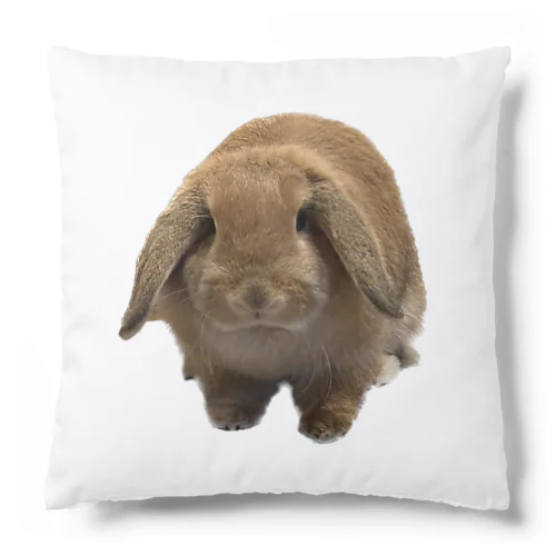 うさぎのもふもふララちゃん Cushion